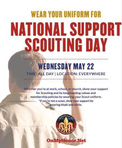 Scout Day May 22